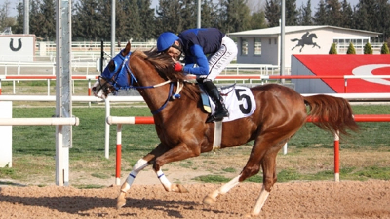 Adana Vali Koşusu’nda zafer Kuzgun Bey’in oldu