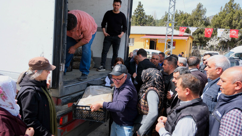 Pozantılı üreticiye 900 bin çilek fidesi daha dağıtıldı